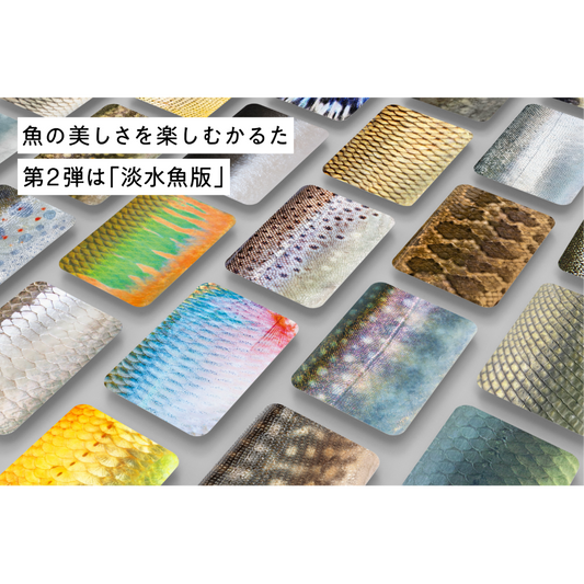 魚の美しさを楽しむかるた 第二弾は淡水魚版