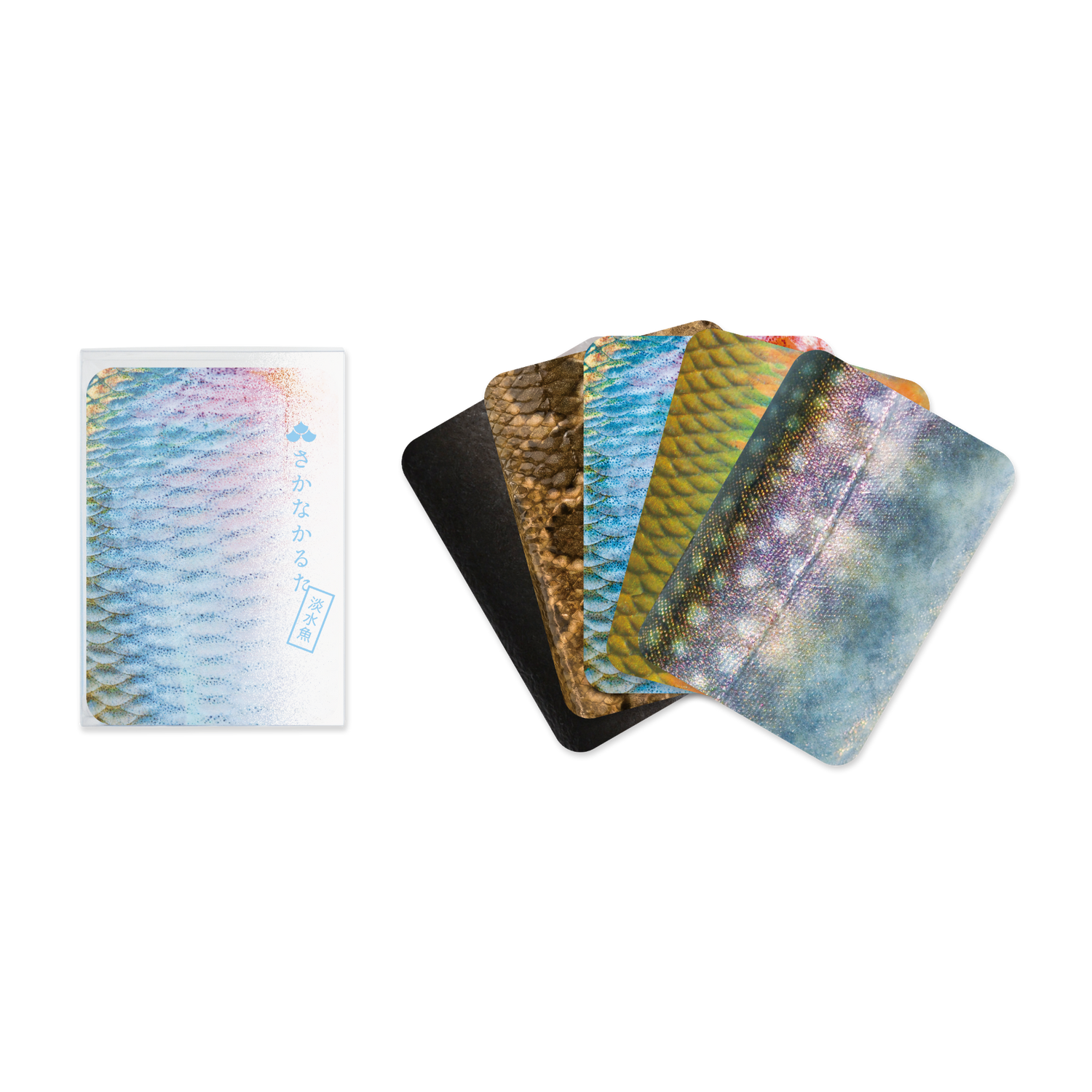 さかなかるた カードの例