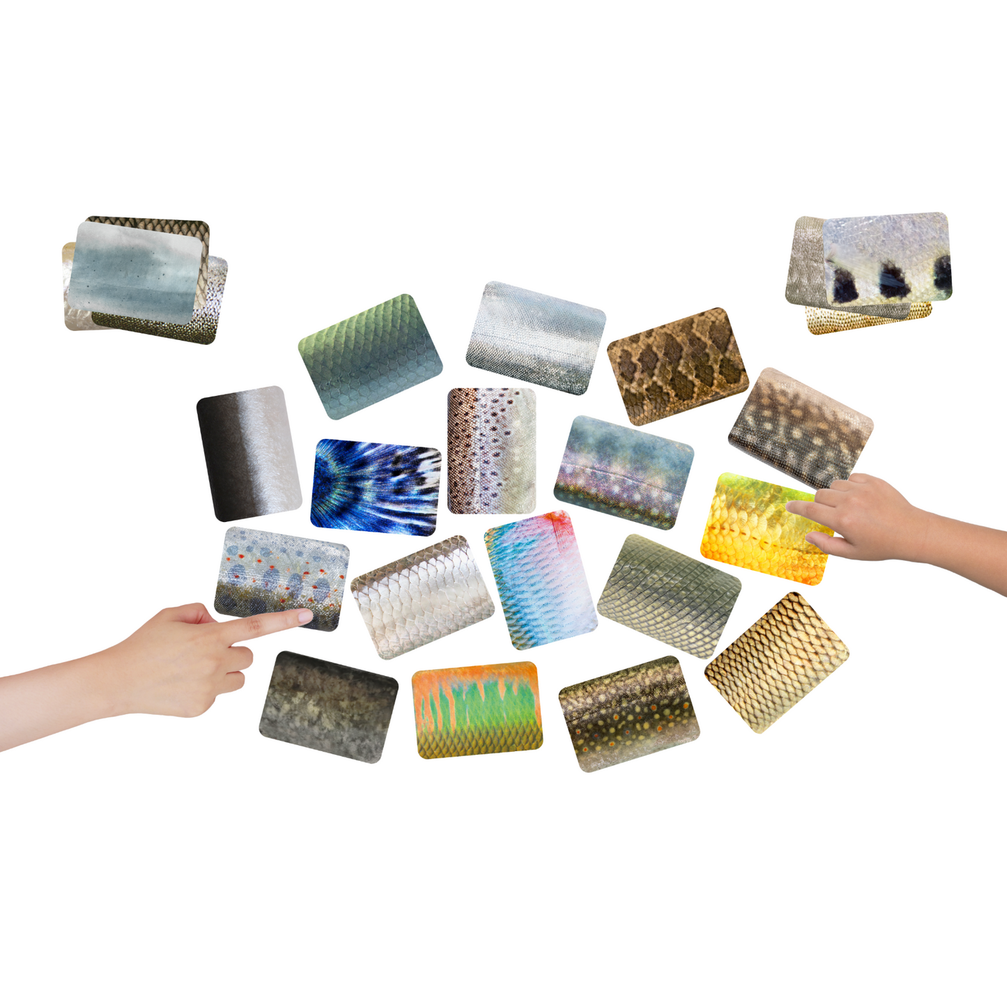 カードを広げて遊んでいる様子