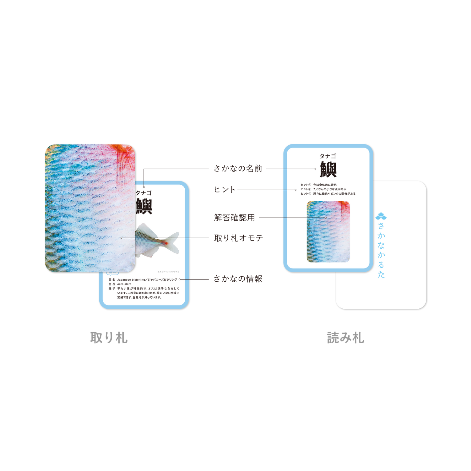 取り札と読み札の説明です