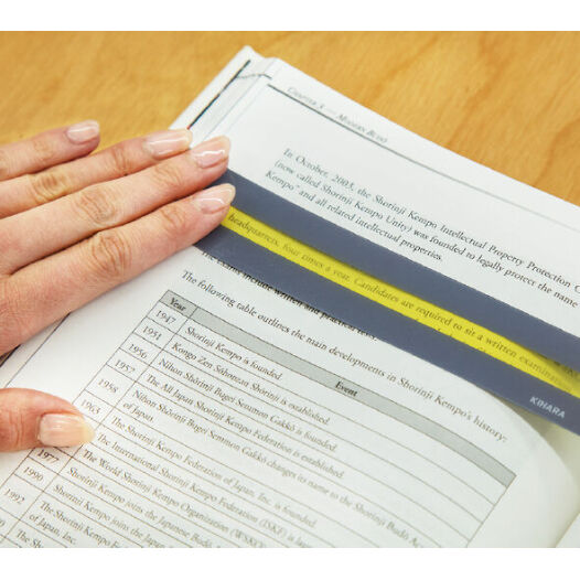 キハラ リーディングトラッカー